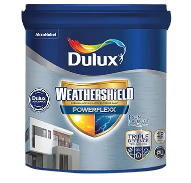 Dulux Weathershield Protect Rainproof